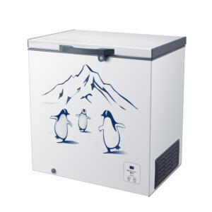 Hisense Freezer 300L FC326D4BWYS