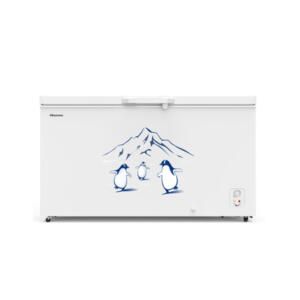 Hisense Freezer 500L FC550D4BWB