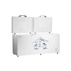 Hisense Freezer 530L FC650D4BWB